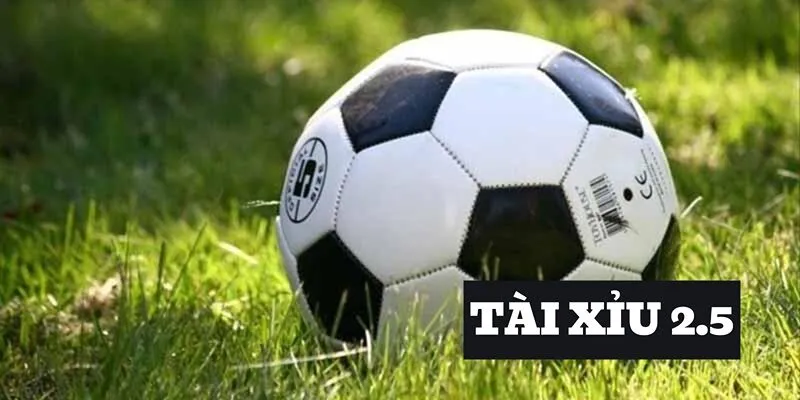 keo-tai-xiu-bong-da-2-5-trai